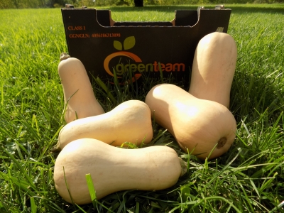 Butternut Squash Sales